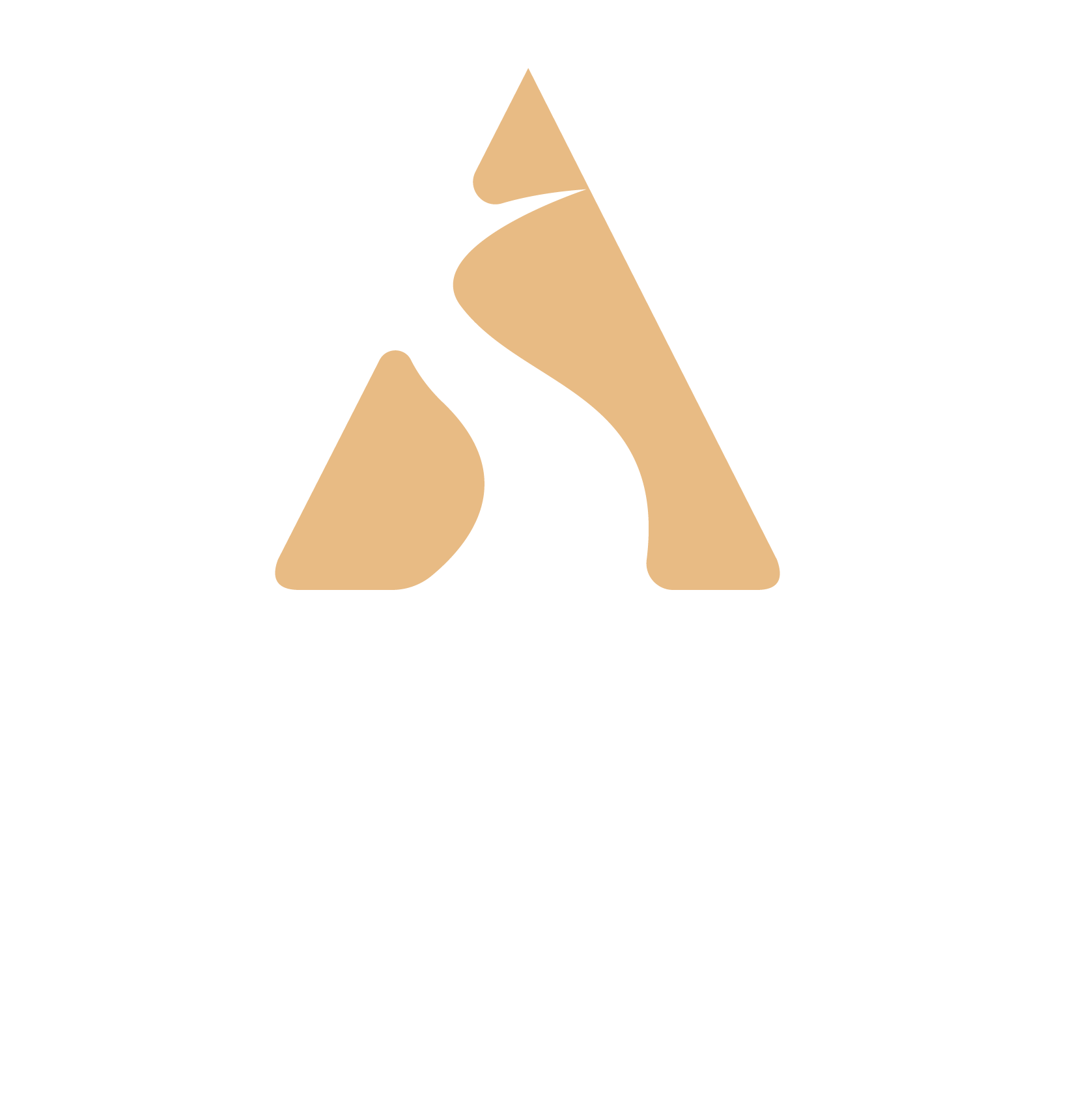 Your Company